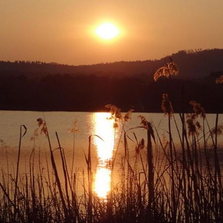 Ilsenhof Am Turnersee Obersammelsdorf Exteriér fotografie