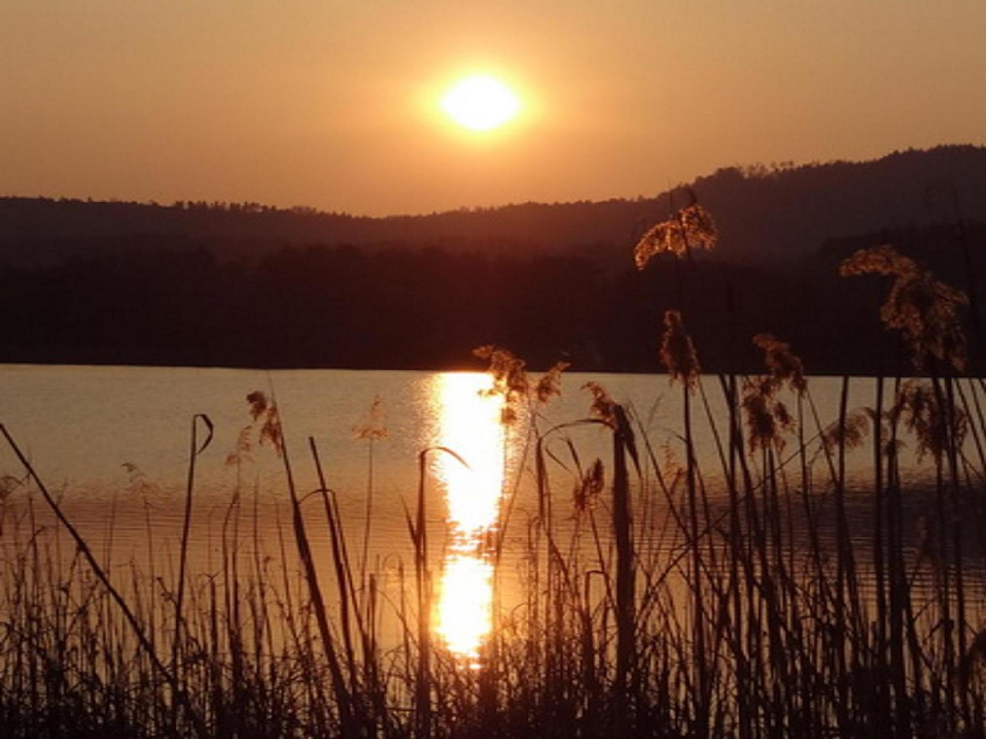 Ilsenhof Am Turnersee Obersammelsdorf Exteriér fotografie