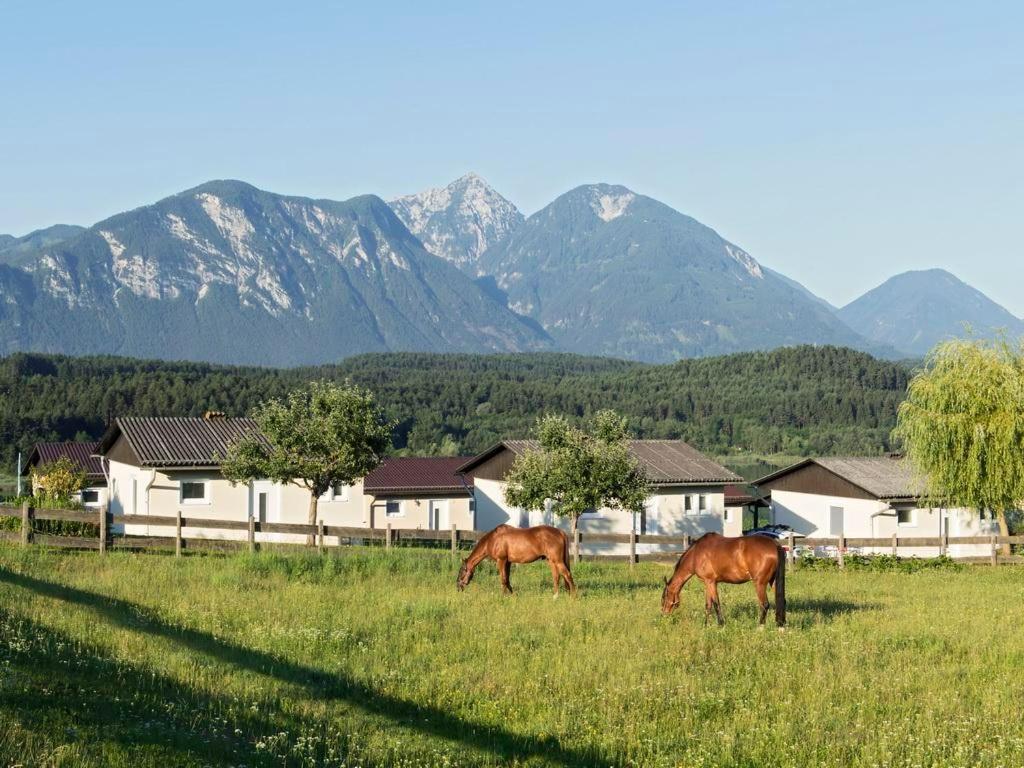 Ilsenhof Am Turnersee Obersammelsdorf Exteriér fotografie